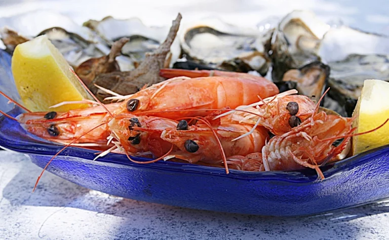 Oysters and Shellfish in a plate. Foods high in Zinc