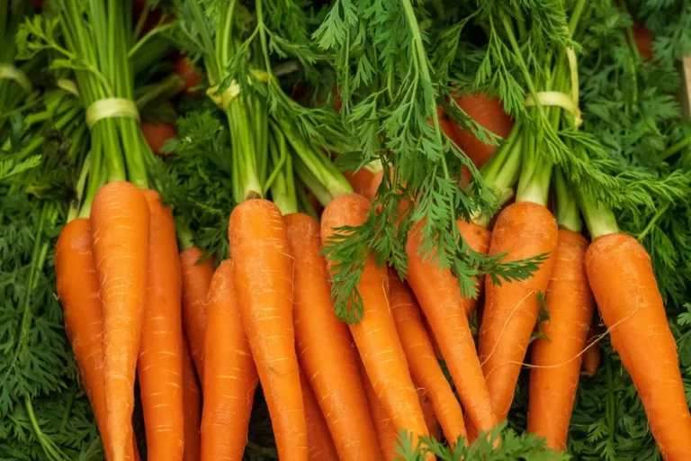 A Bunch of Carrots