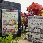 The Medicinal Garden Kit - 10 herbs to grow your own pharmacy at home