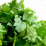 Cilantro is the best herb to remove heavy metals from your body