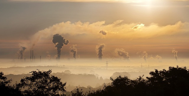 Industrial pollution is the higher source of lead in the environment