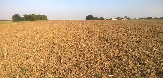 image of the soil of a farm