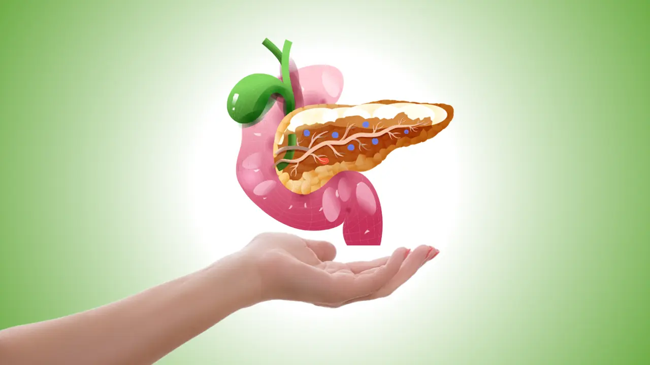 Illustration of a hand facing up below a pancreas