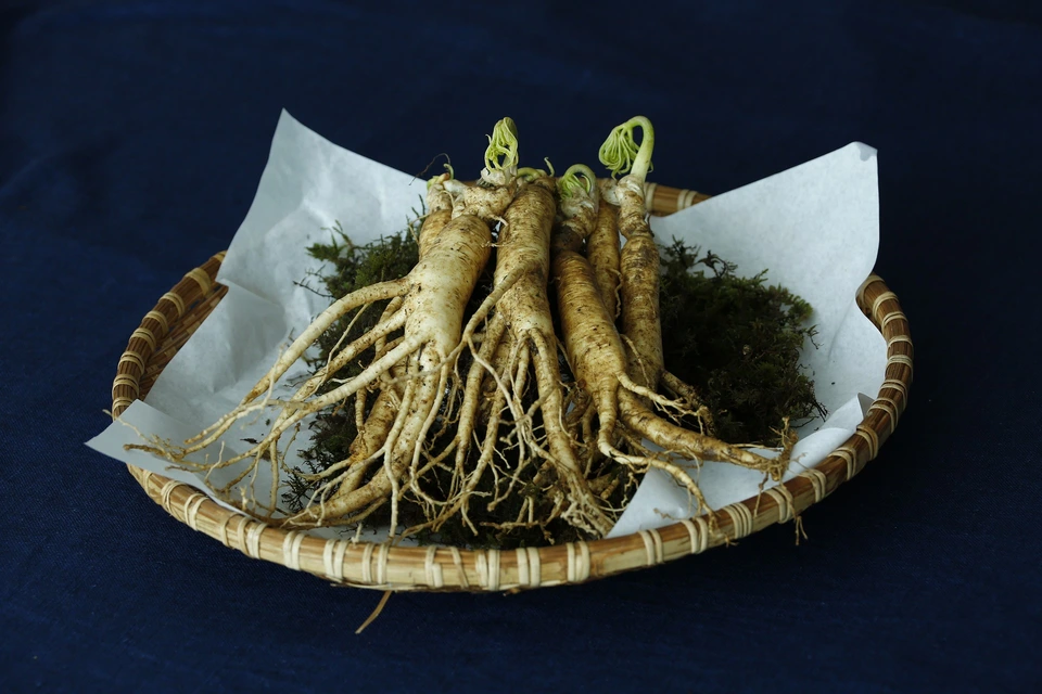 Image of Ginseng roots on a plate