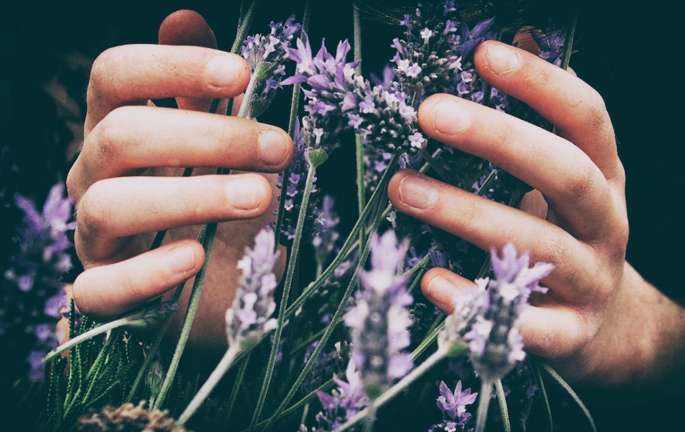 Image of a woman holding some herbs, living natural