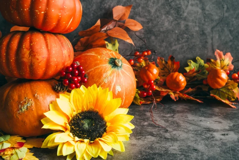 Image of pumpkins with autumn flowers