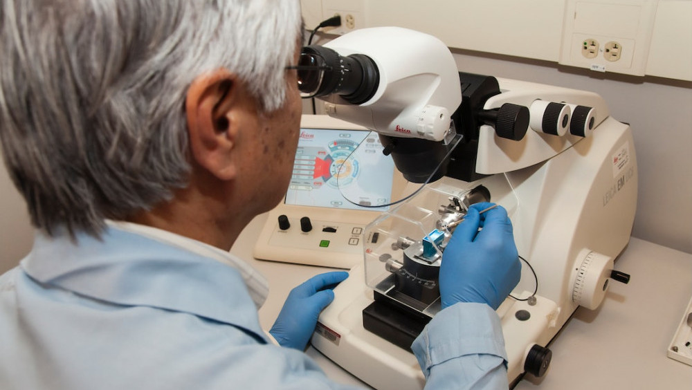 Image of a researcher looking to the microscope