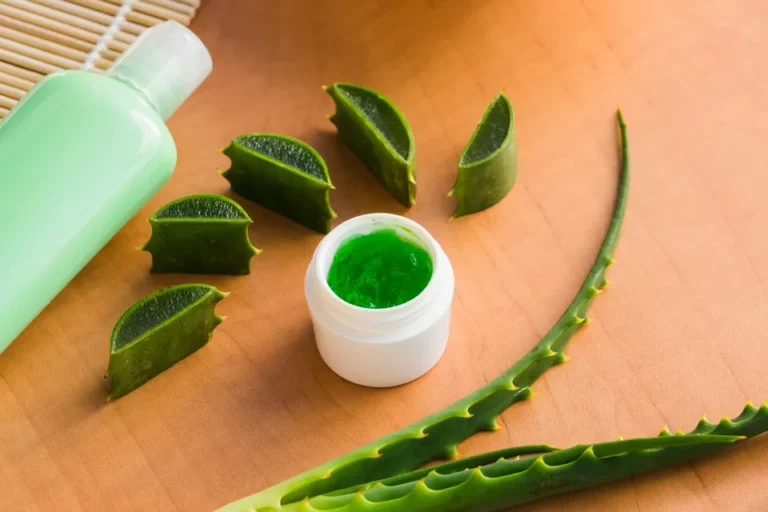 Aloe vera leaves with beauty cream